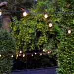 Spring 2025 Landscape Lighting Trends for Charlotte, NC Homes